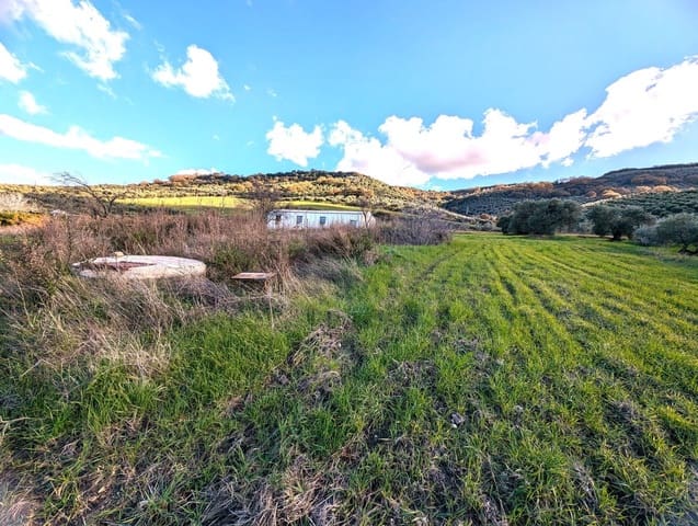 Grond te koop in Olvera - € 50.000 (Ref: 8755195)