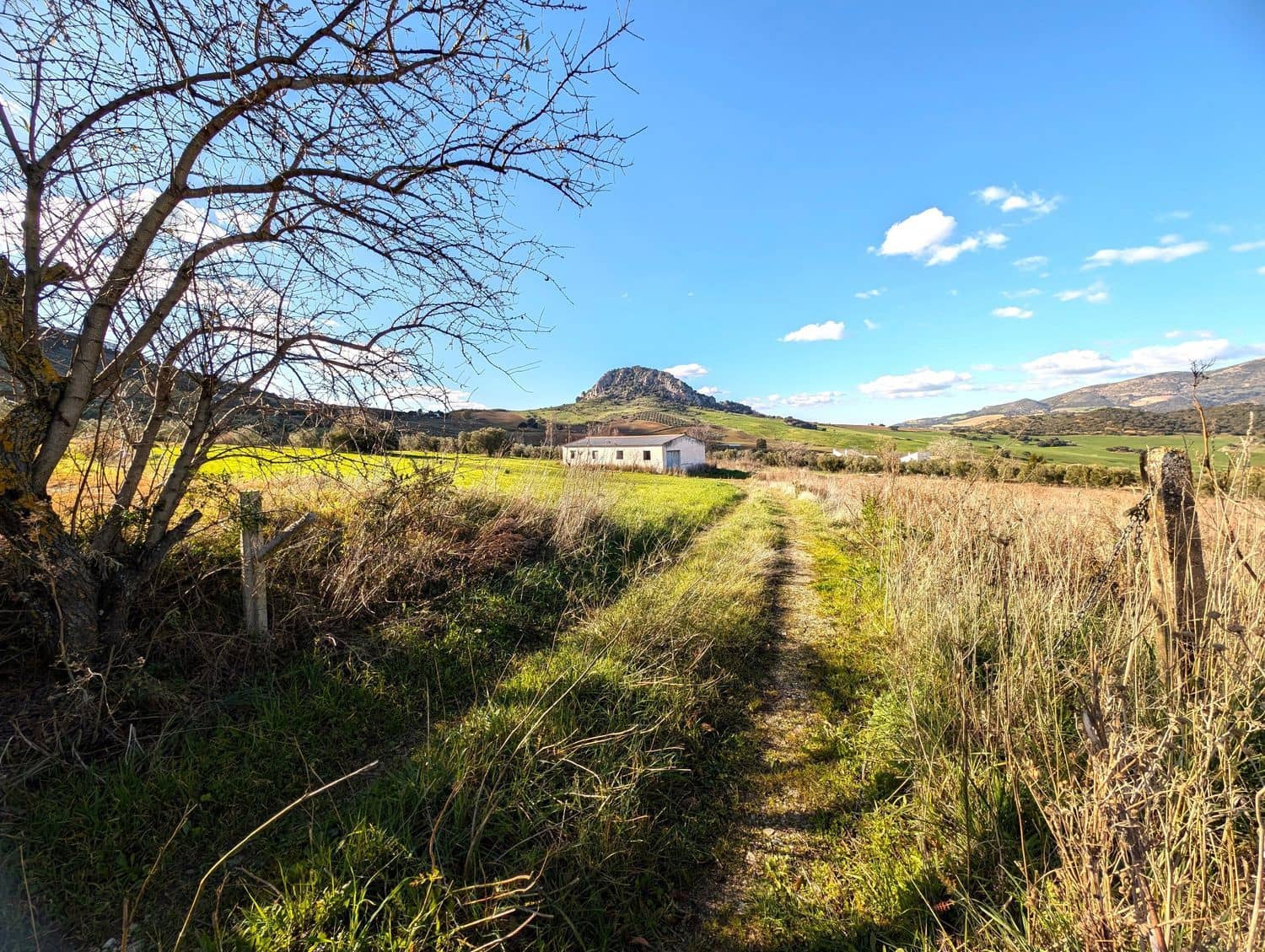 Grunde uden byggetilladelser til salg i Olvera - € 50.000 (Ref: 8755195)