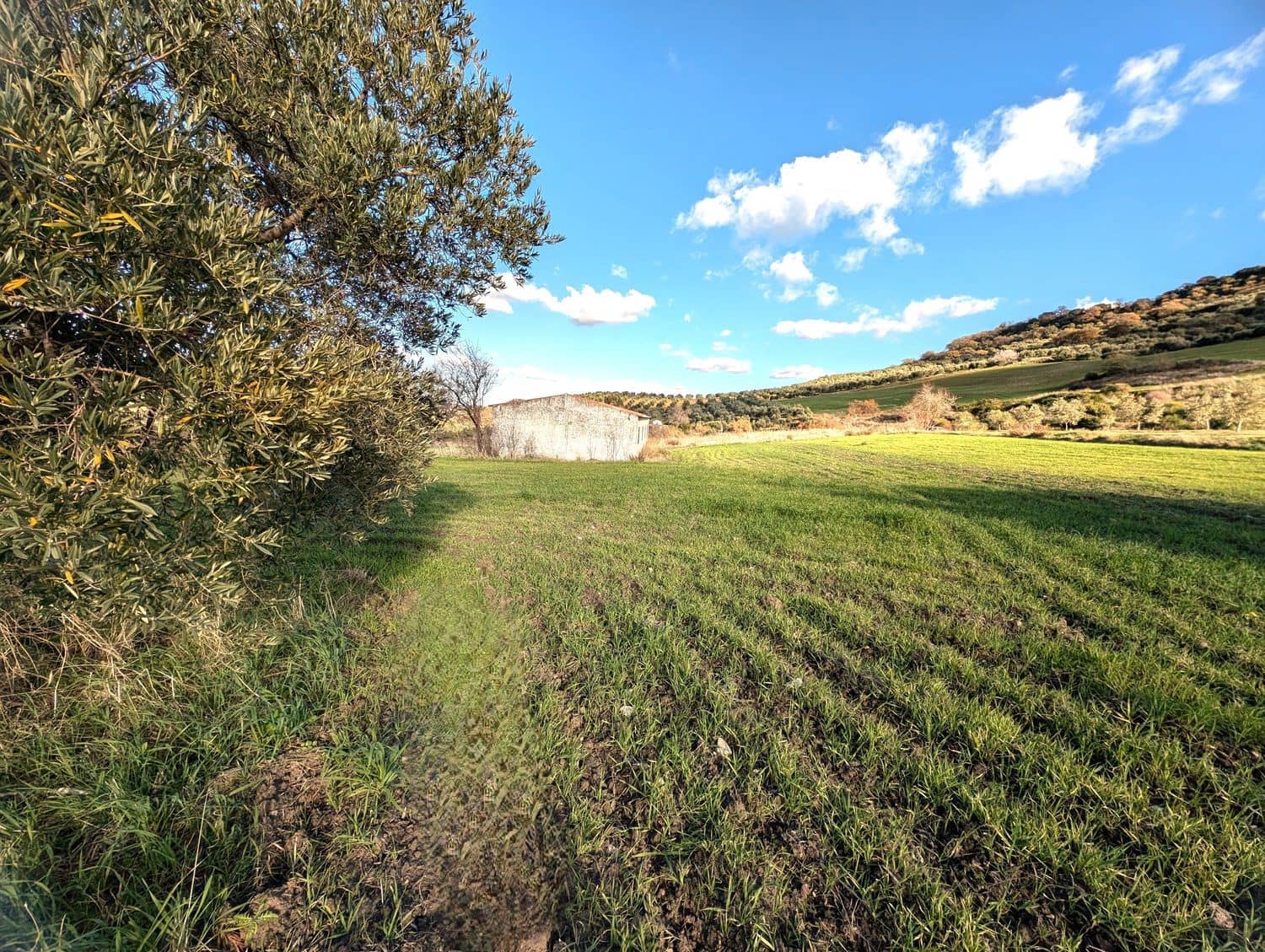 Grunde uden byggetilladelser til salg i Olvera - € 50.000 (Ref: 8755195)