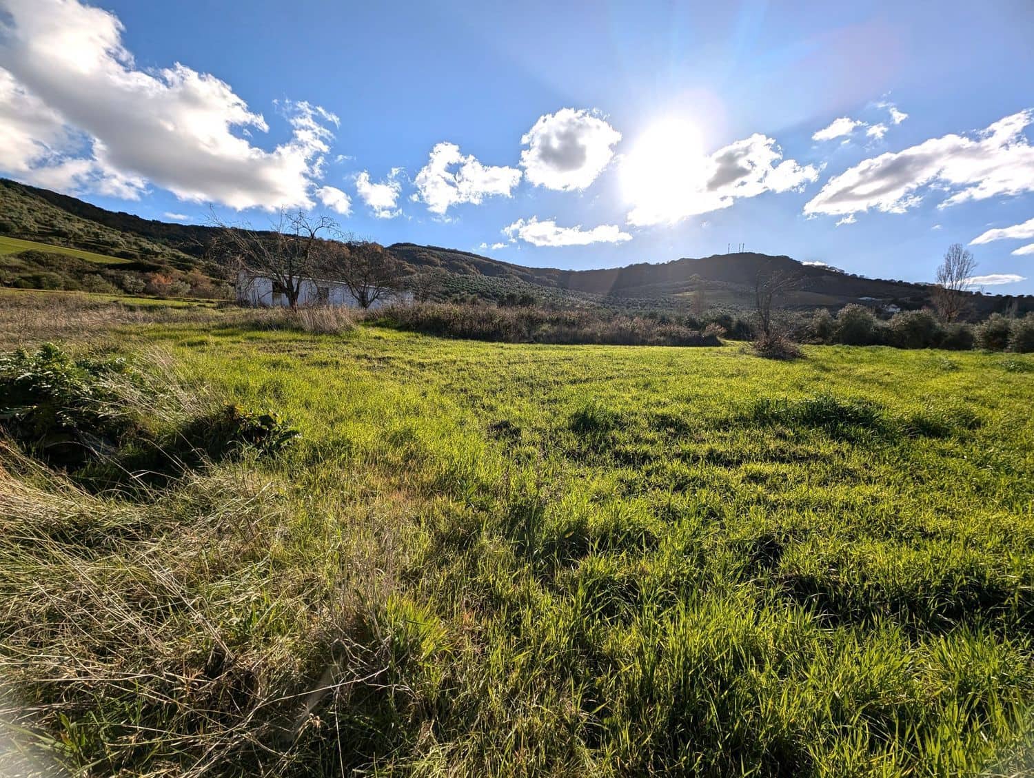 Grunde uden byggetilladelser til salg i Olvera - € 50.000 (Ref: 8755195)