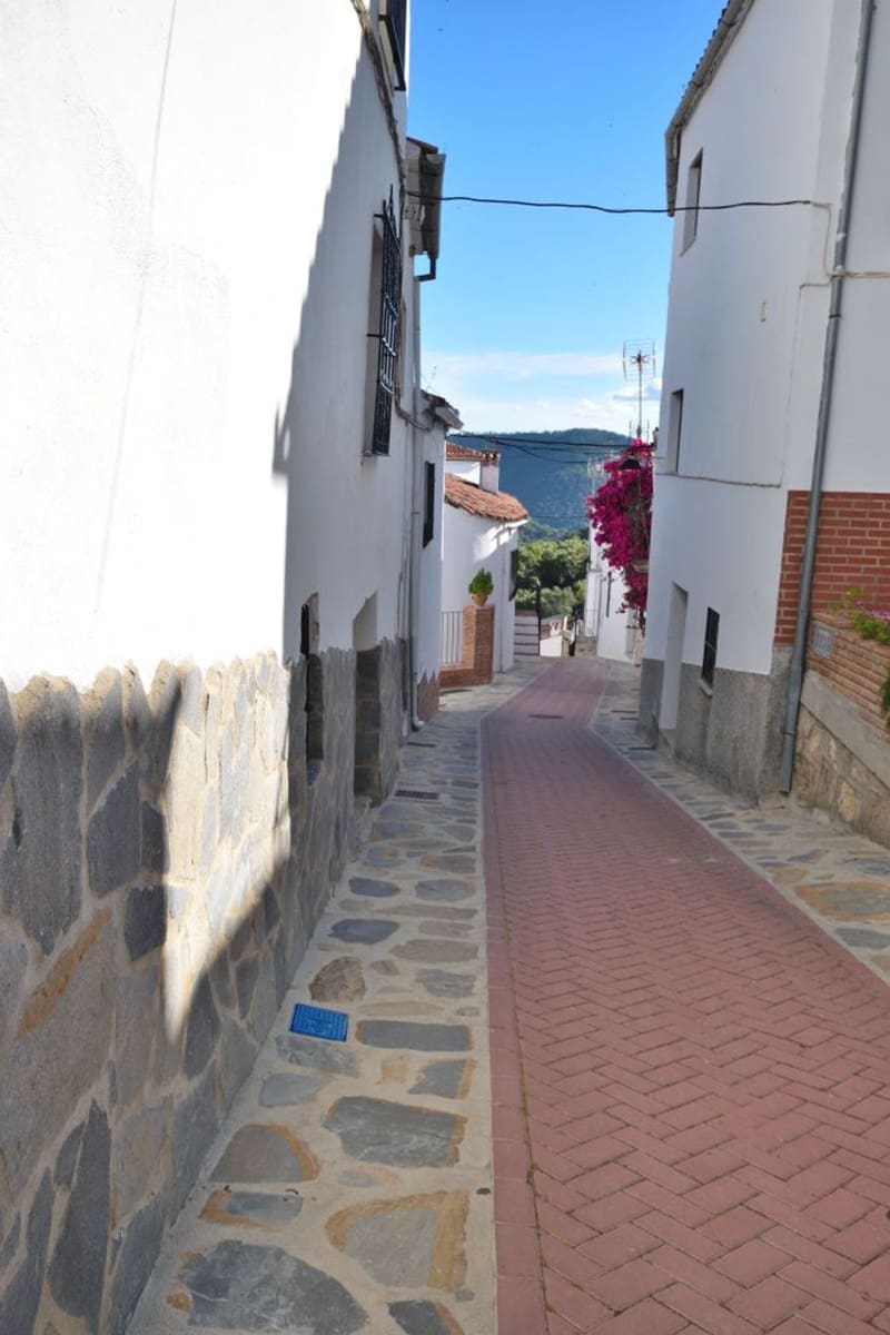 1 sovrum Lägenhet att hyra i Farajan med garage - 390 € (Ref: 8854407)