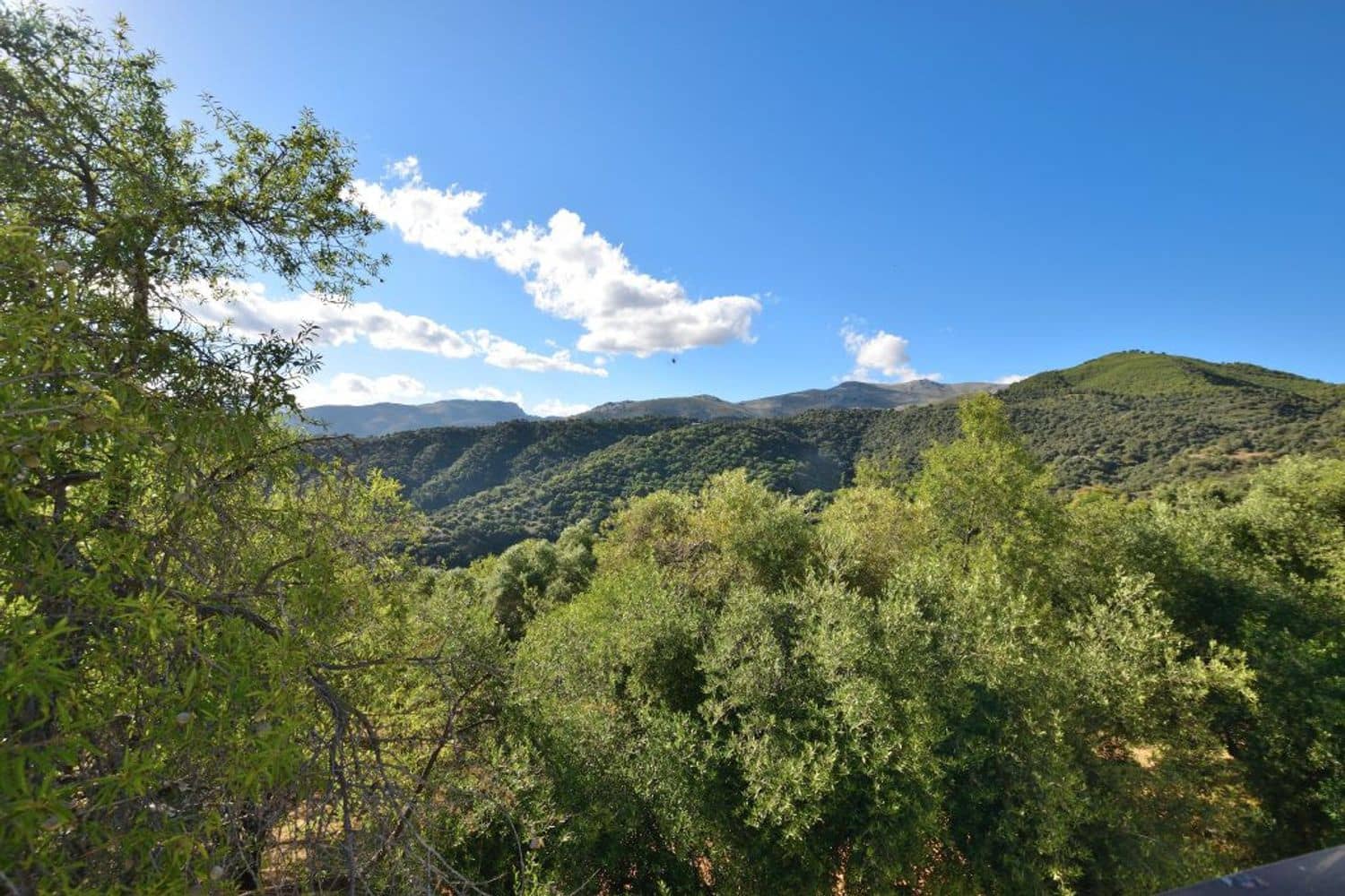 1 sovrum Lägenhet att hyra i Farajan med garage - 390 € (Ref: 8854407)