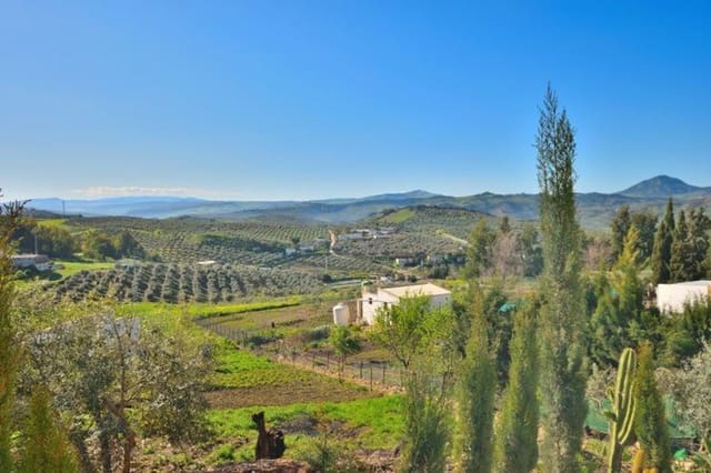 Rakentamaton maa myytävänä paikassa Olvera - 44 000 € (Ref: 8910800)