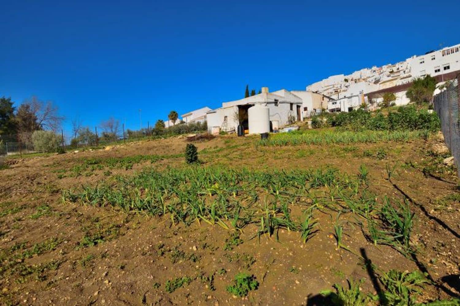 Grunde uden byggetilladelser til salg i Olvera - € 44.000 (Ref: 8910800)