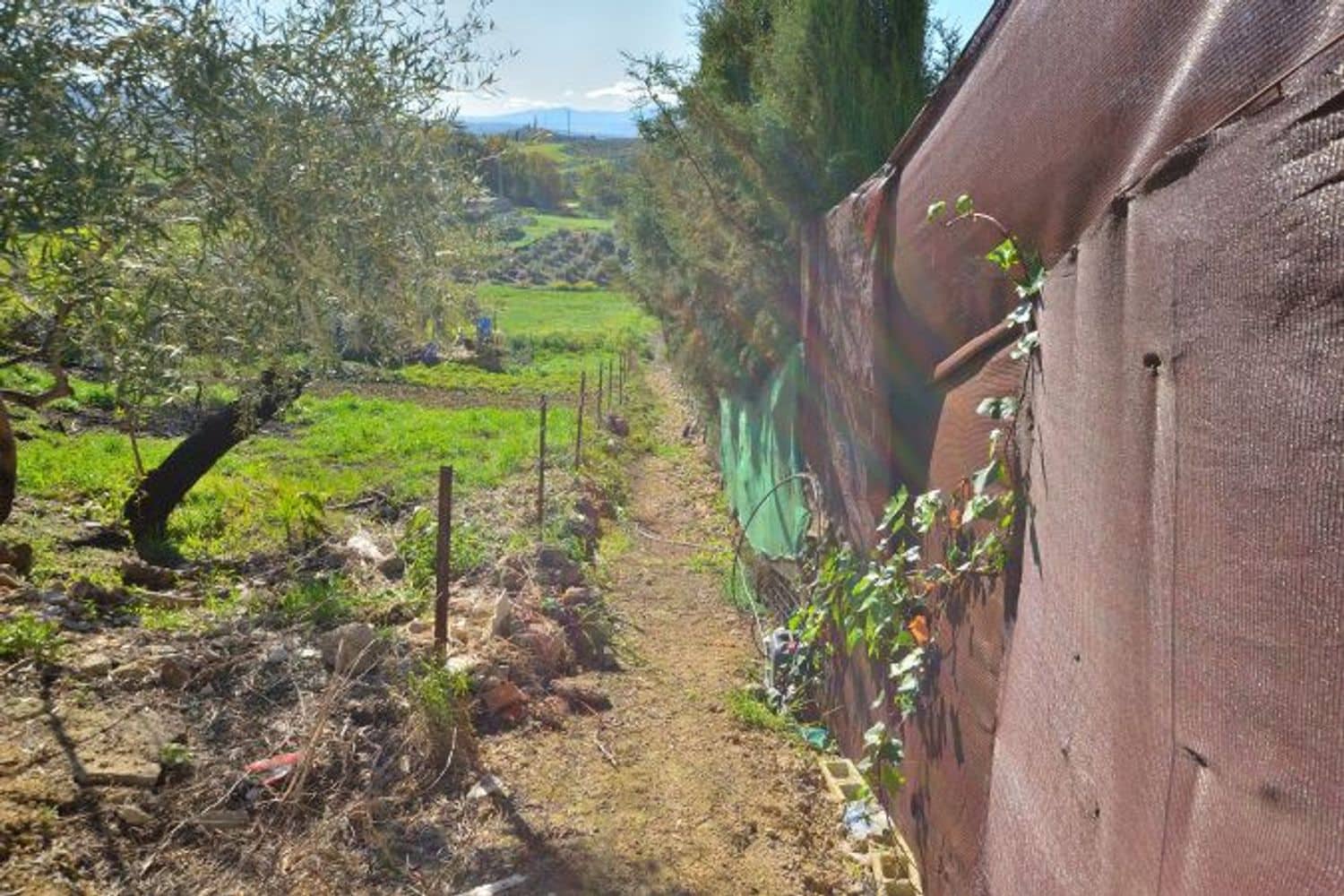 Grunde uden byggetilladelser til salg i Olvera - € 44.000 (Ref: 8910800)