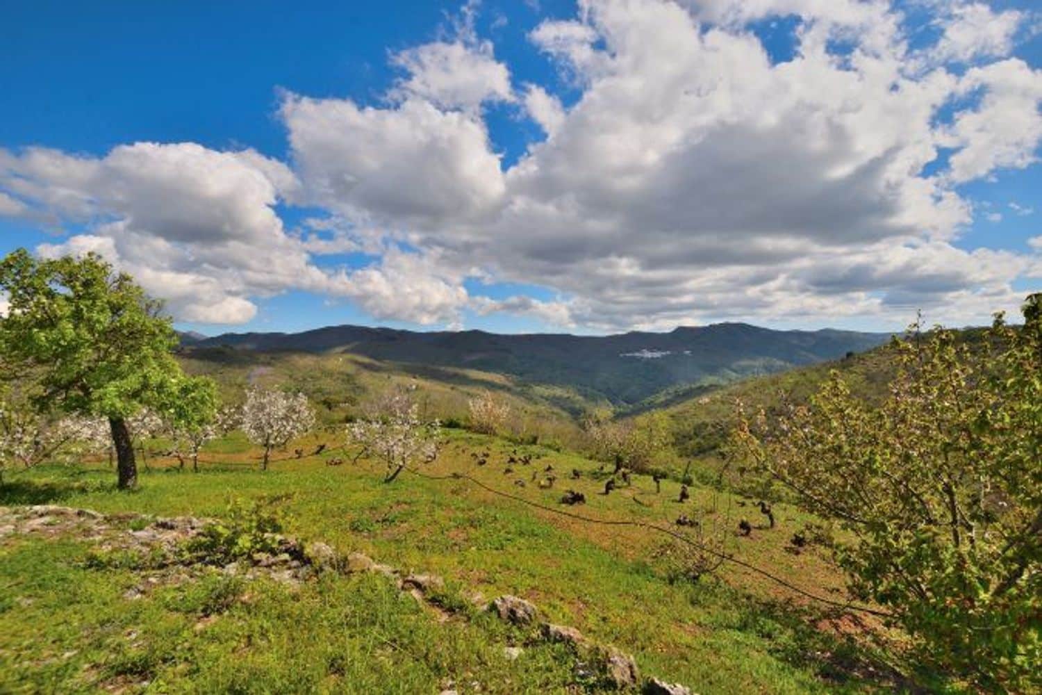 2 soveværelse Finca/Landehus til salg i Cartajima - € 349.000 (Ref: 8985438)