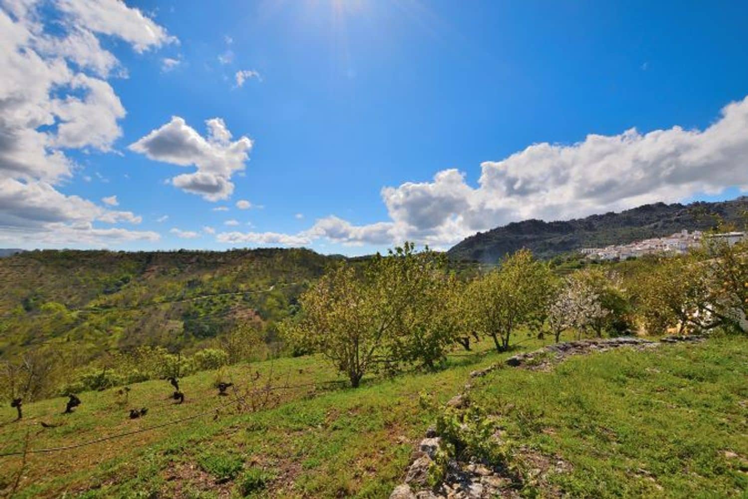 2 soveværelse Finca/Landehus til salg i Cartajima - € 349.000 (Ref: 8985438)