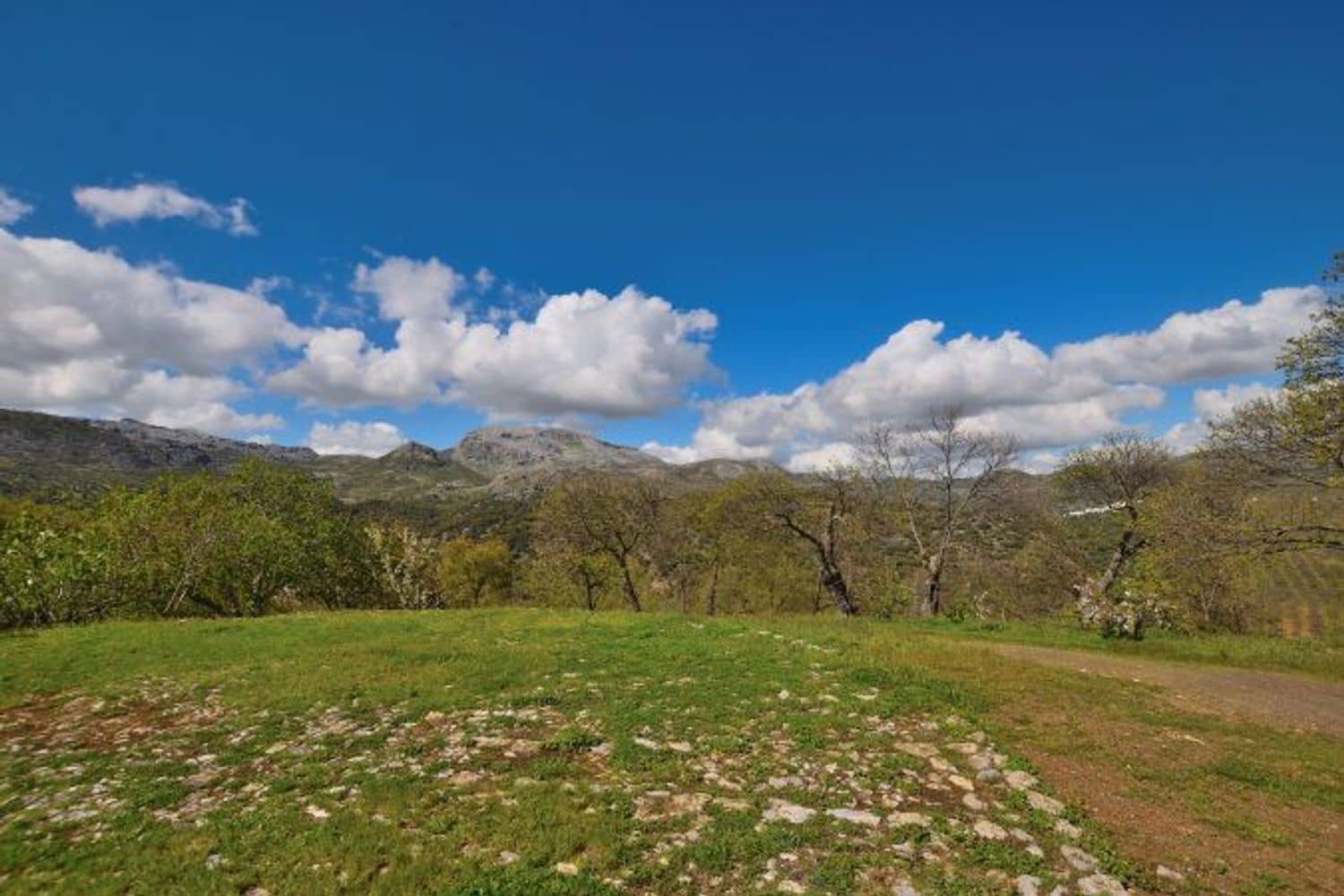 2 soveværelse Finca/Landehus til salg i Cartajima - € 349.000 (Ref: 8985438)