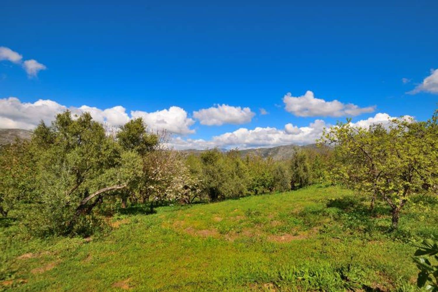 2 soveværelse Finca/Landehus til salg i Cartajima - € 349.000 (Ref: 8985438)