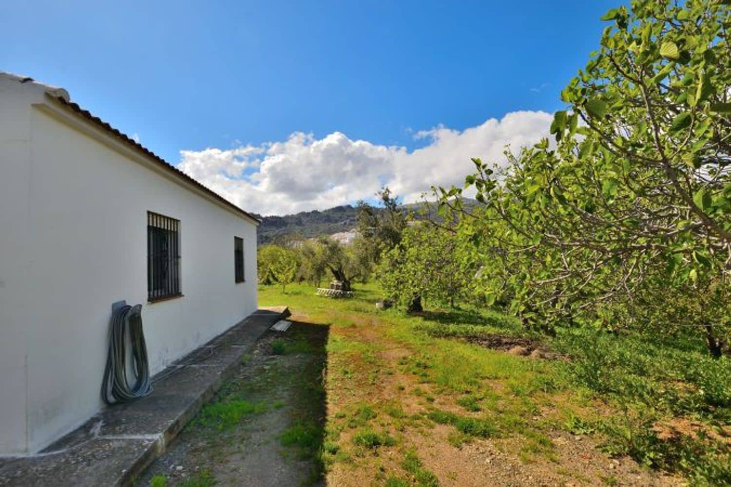 2 soveværelse Finca/Landehus til salg i Cartajima - € 349.000 (Ref: 8985438)