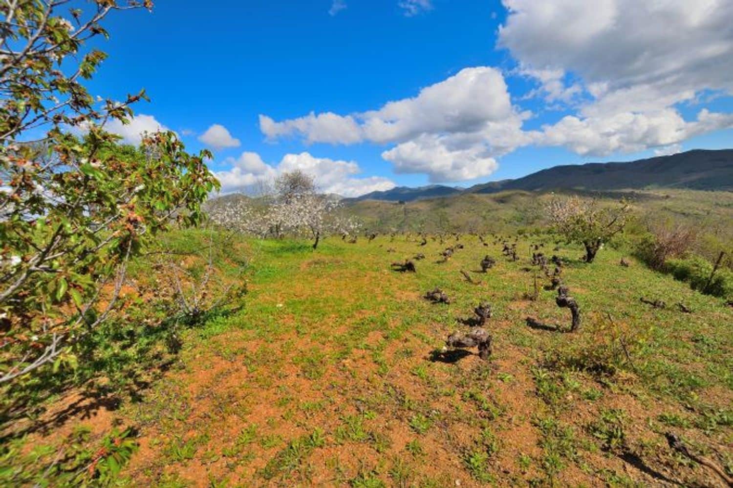 2 soveværelse Finca/Landehus til salg i Cartajima - € 349.000 (Ref: 8985438)