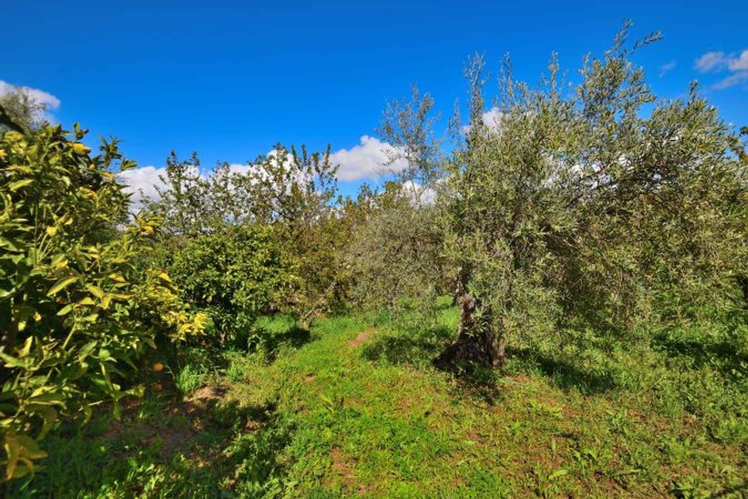 2 soveværelse Finca/Landehus til salg i Cartajima - € 349.000 (Ref: 8985438)