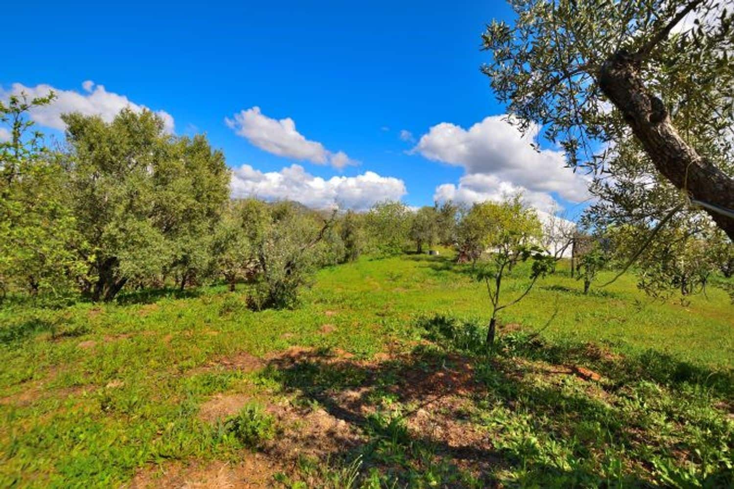 2 soveværelse Finca/Landehus til salg i Cartajima - € 349.000 (Ref: 8985438)