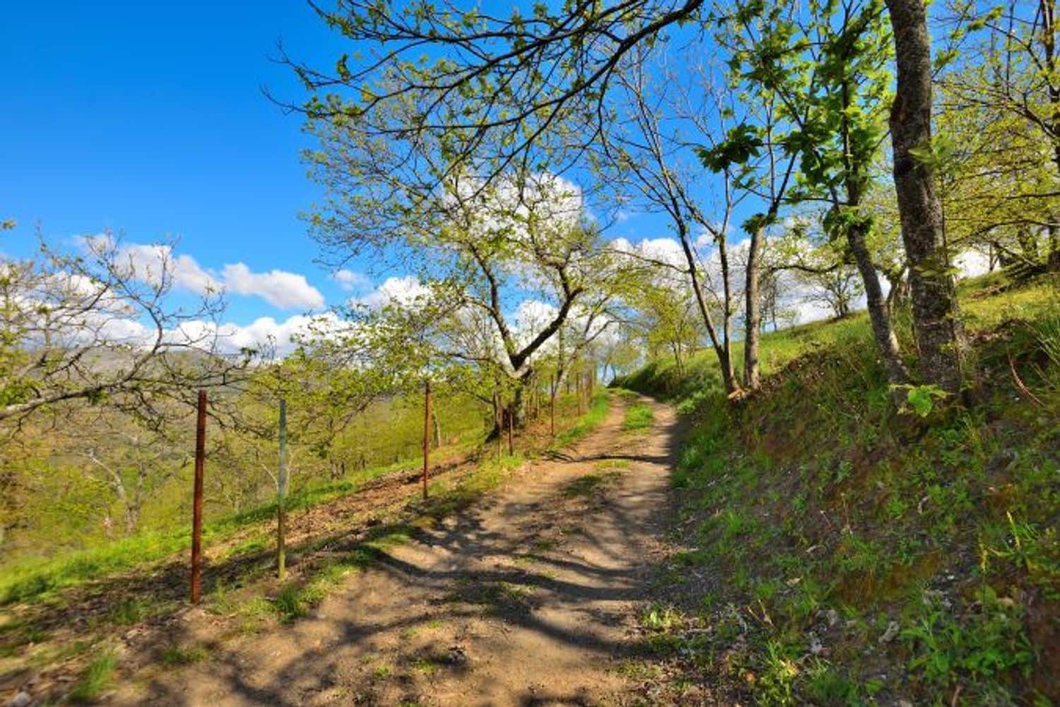 2 soveværelse Finca/Landehus til salg i Cartajima - € 349.000 (Ref: 8985438)