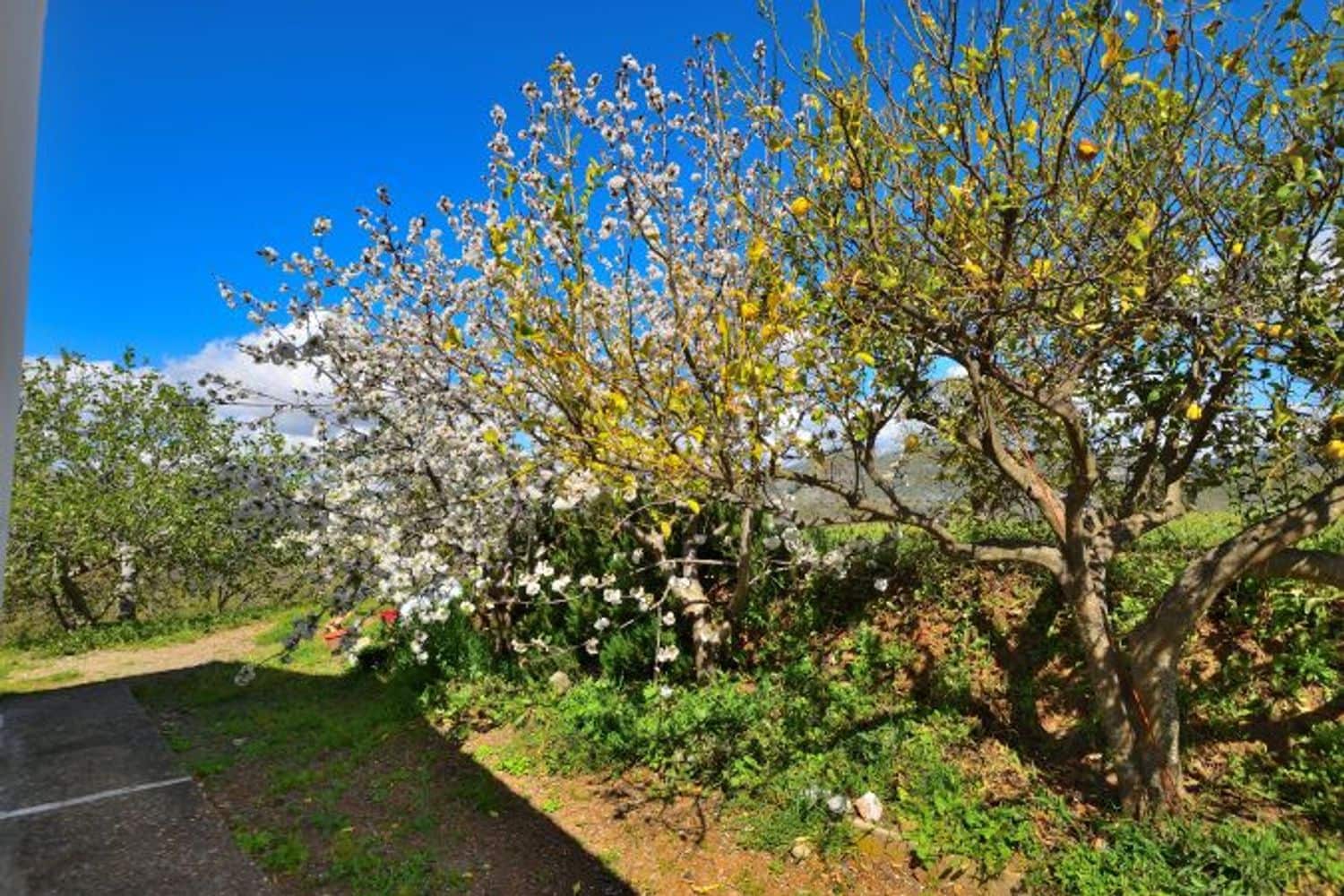 2 soveværelse Finca/Landehus til salg i Cartajima - € 349.000 (Ref: 8985438)