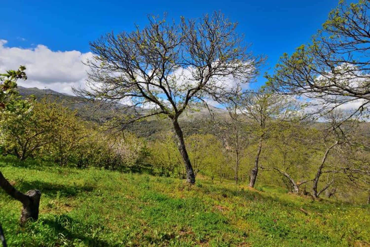 2 soveværelse Finca/Landehus til salg i Cartajima - € 349.000 (Ref: 8985438)