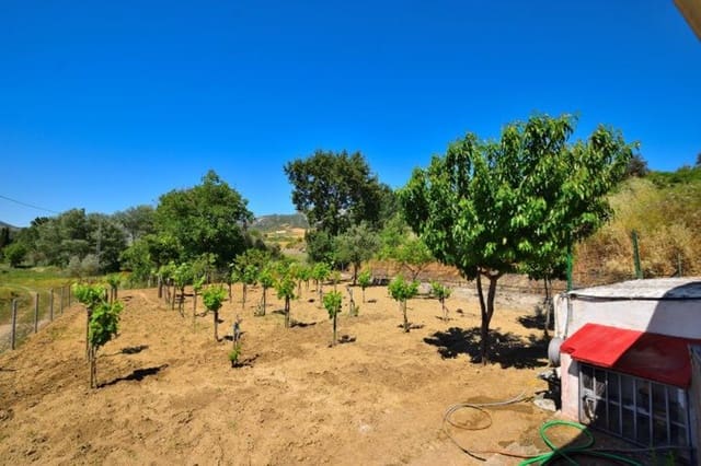 1 quarto Quinta/Casa Rural para venda em Ronda com piscina garagem - 229 500 € (Ref: 9022889)