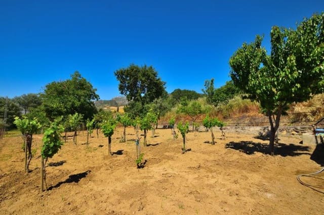 1 quarto Quinta/Casa Rural para venda em Ronda com piscina garagem - 229 500 € (Ref: 9022889)