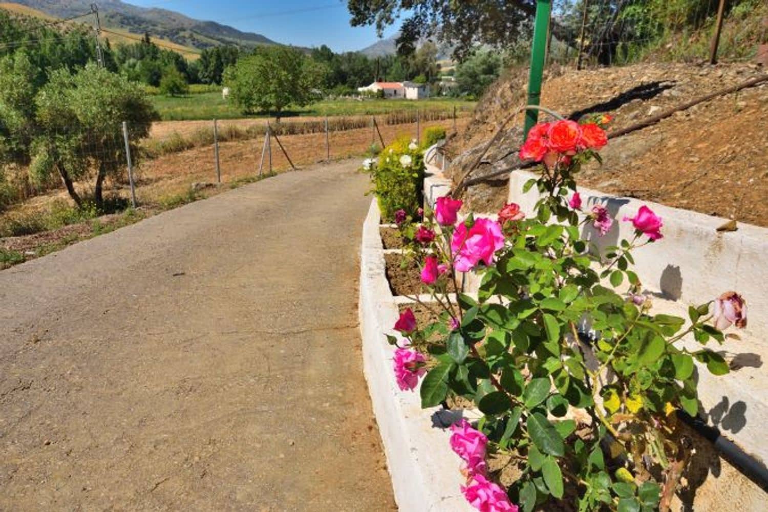 1 quarto Quinta/Casa Rural para venda em Ronda com piscina garagem - 229 500 € (Ref: 9022889)