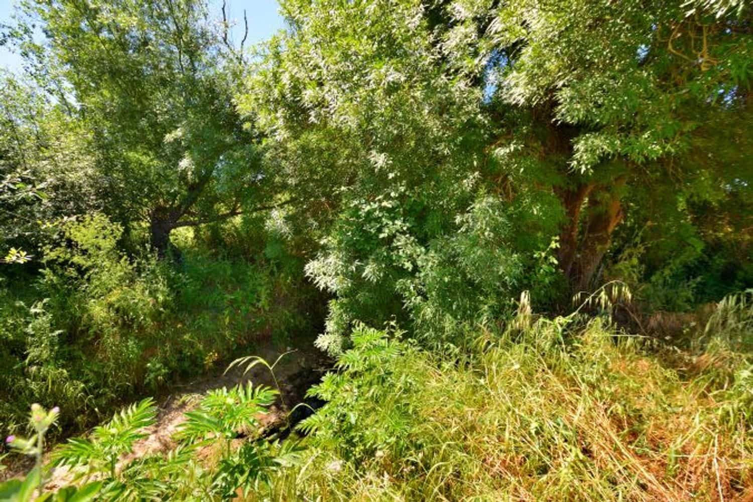 1 quarto Quinta/Casa Rural para venda em Ronda com piscina garagem - 229 500 € (Ref: 9022889)