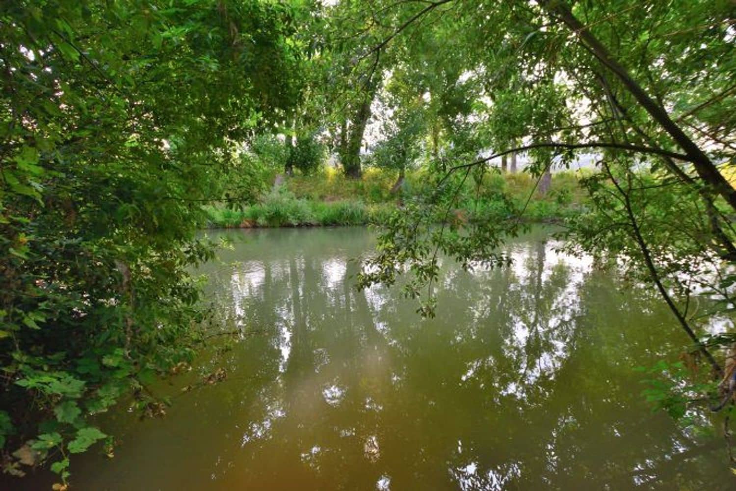 2 soveværelse Finca/Landehus til salg i Cortes de la Frontera med swimmingpool garage - € 92.000 (Ref: 9072946)