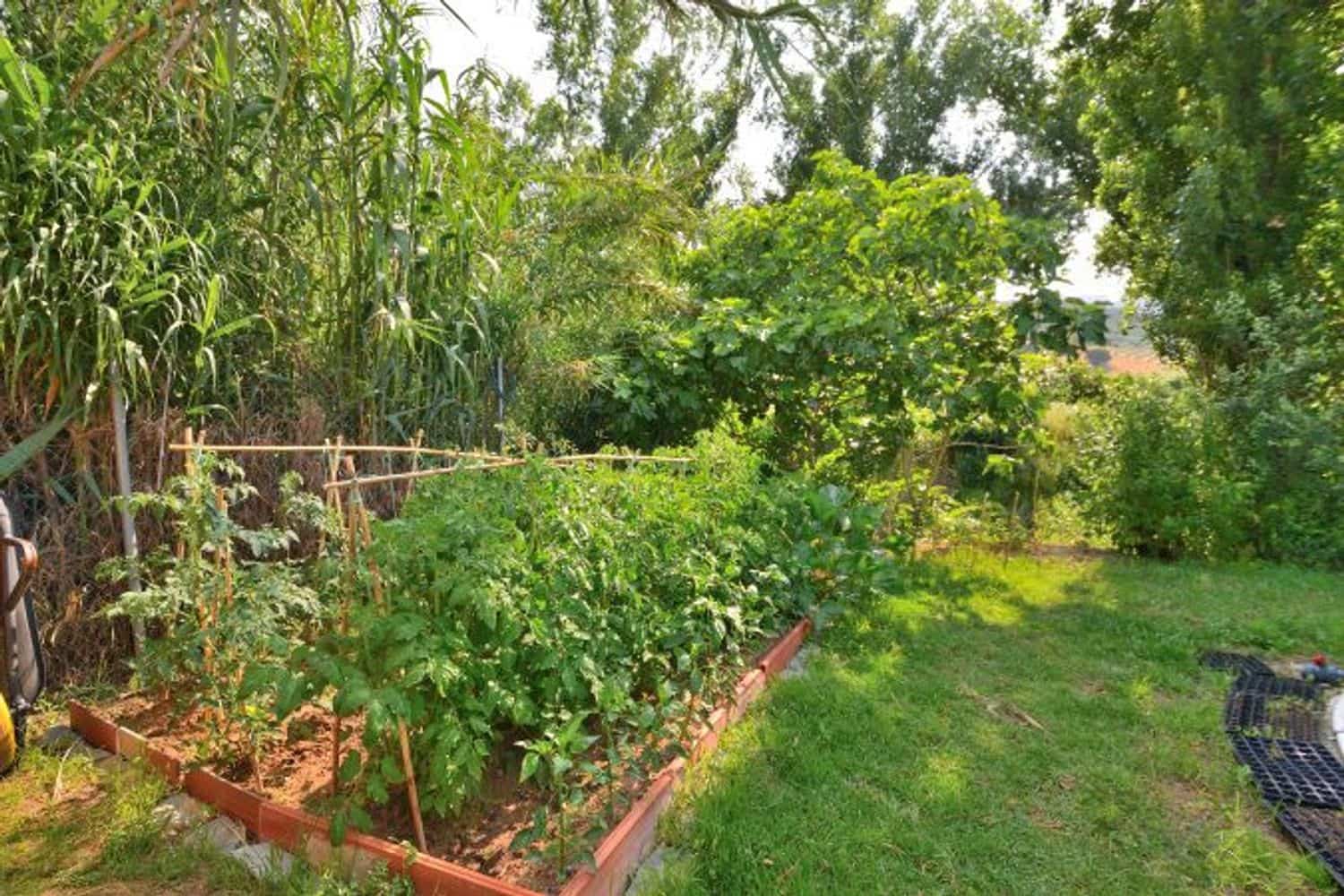 2 soveværelse Finca/Landehus til salg i Cortes de la Frontera med swimmingpool garage - € 92.000 (Ref: 9072946)