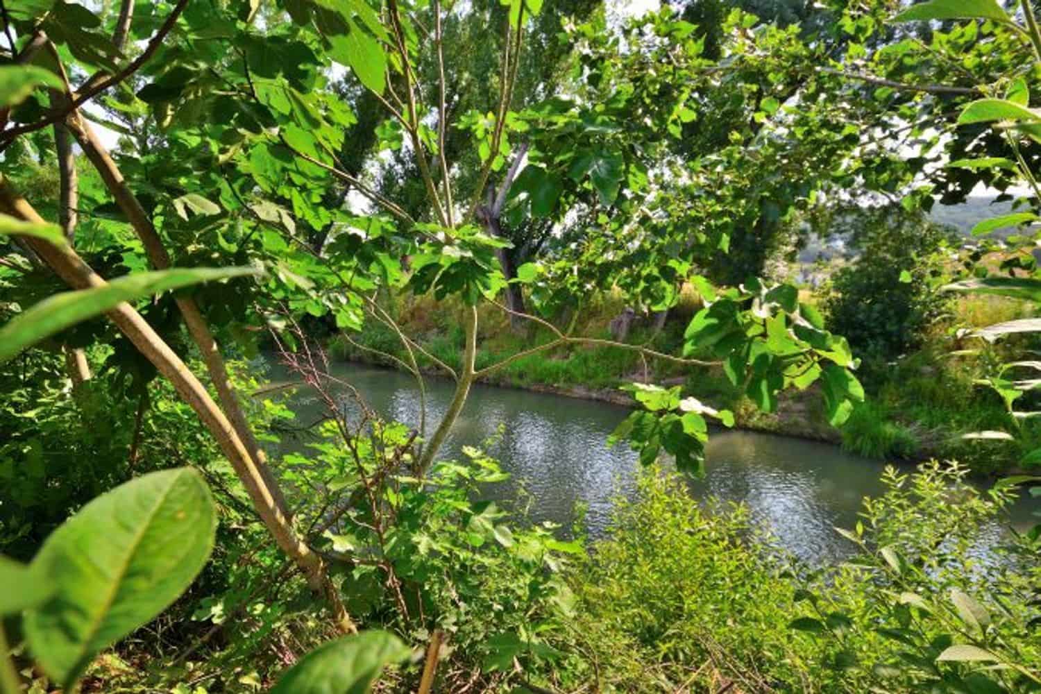 2 soveværelse Finca/Landehus til salg i Cortes de la Frontera med swimmingpool garage - € 92.000 (Ref: 9072946)