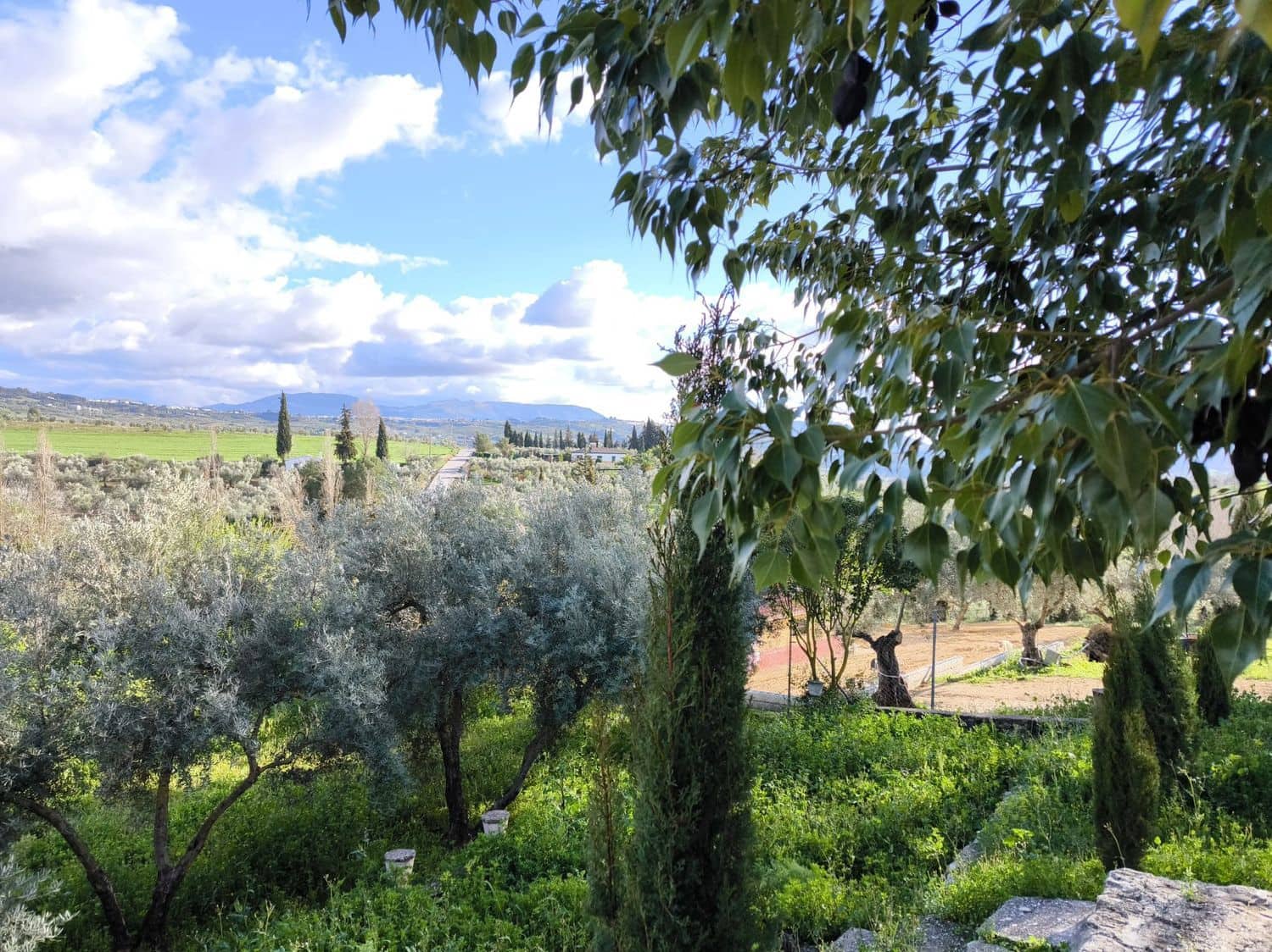 2 bedroom Finca/Country House for sale in Arriate with pool garage - € 350,000 (Ref: 9072947)