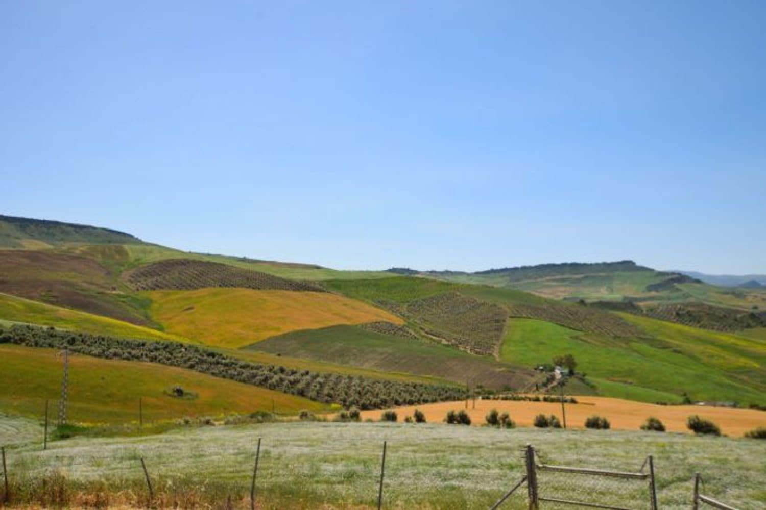 3 slaapkamer Finca/Landhuis te koop in Montecorto met garage - € 280.000 (Ref: 9111764)