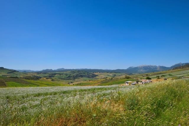 3 sypialnia Finka/Dom wiejski na sprzedaż w Montecorto z garażem - 280 000 € (Ref: 9111764)