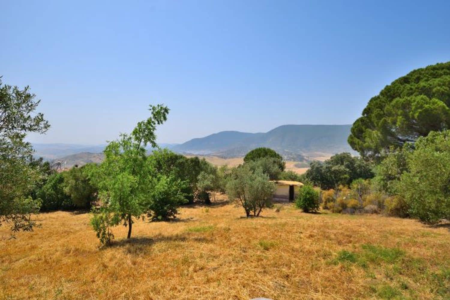 4 soveværelse Finca/Landehus til salg i El Gastor med swimmingpool garage - € 295.000 (Ref: 9111765)