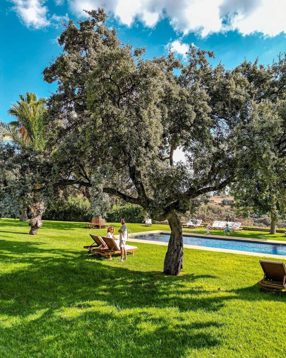 Hotel til salg i Ronda - € 2.200.000 (Ref: 9142570)