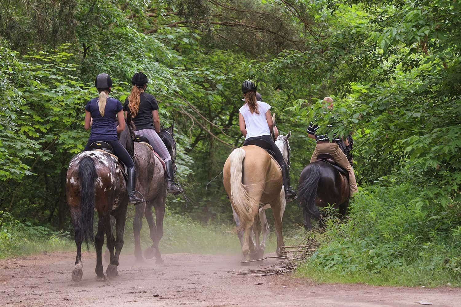 Hotel til salg i Ronda - € 2.200.000 (Ref: 9142570)