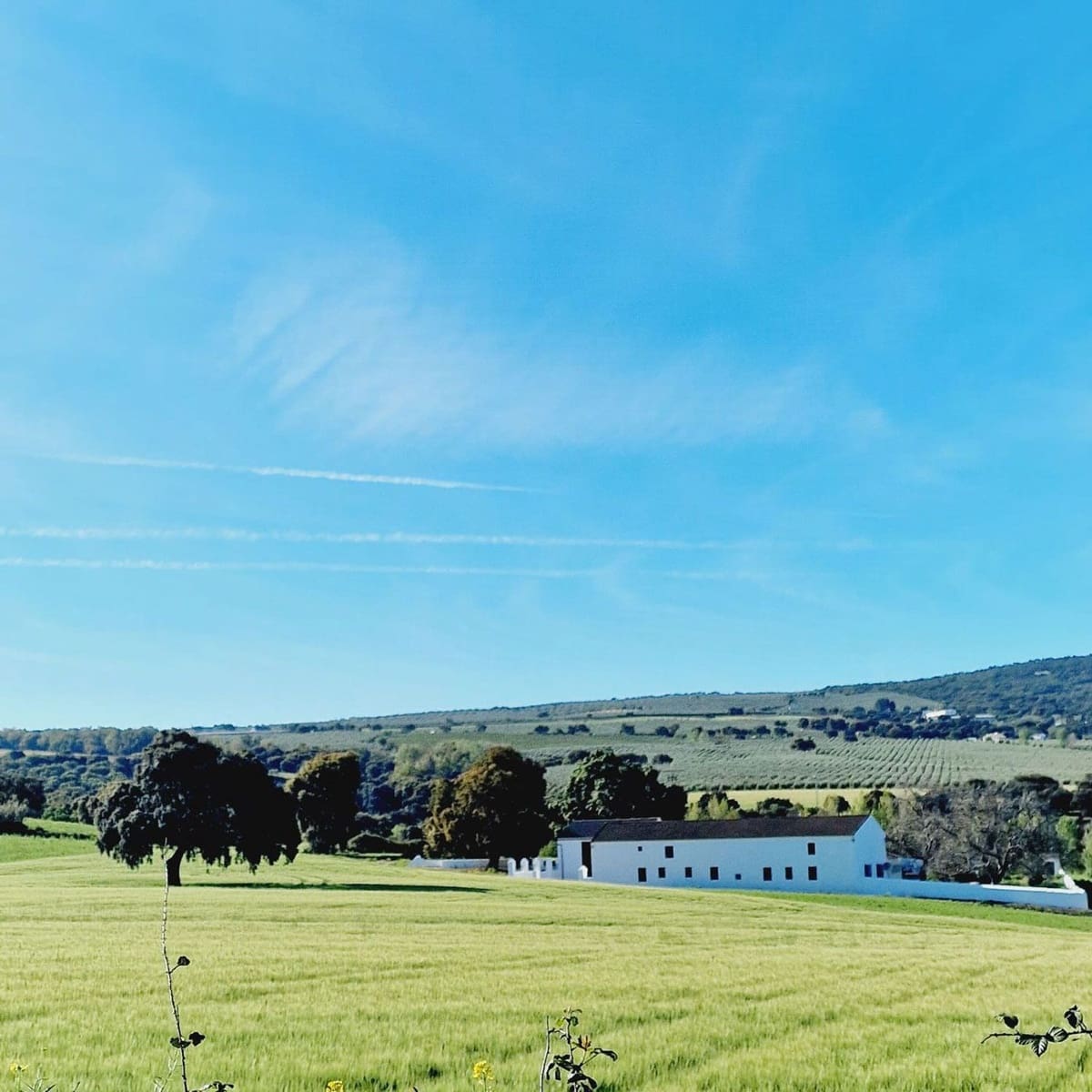 8 soverom Finca/Herregård til salgs i Ronda med svømmebasseng garasje - € 2 200 000 (Ref: 9254558)