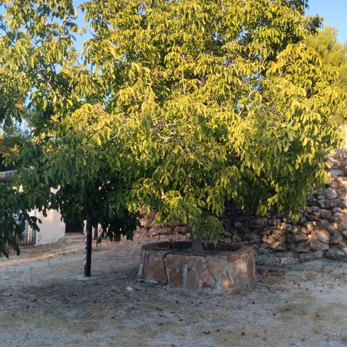 2 sypialnia Finka/Dom wiejski do wynajęcia w Ronda z garażem - 750 € (Ref: 9263982)