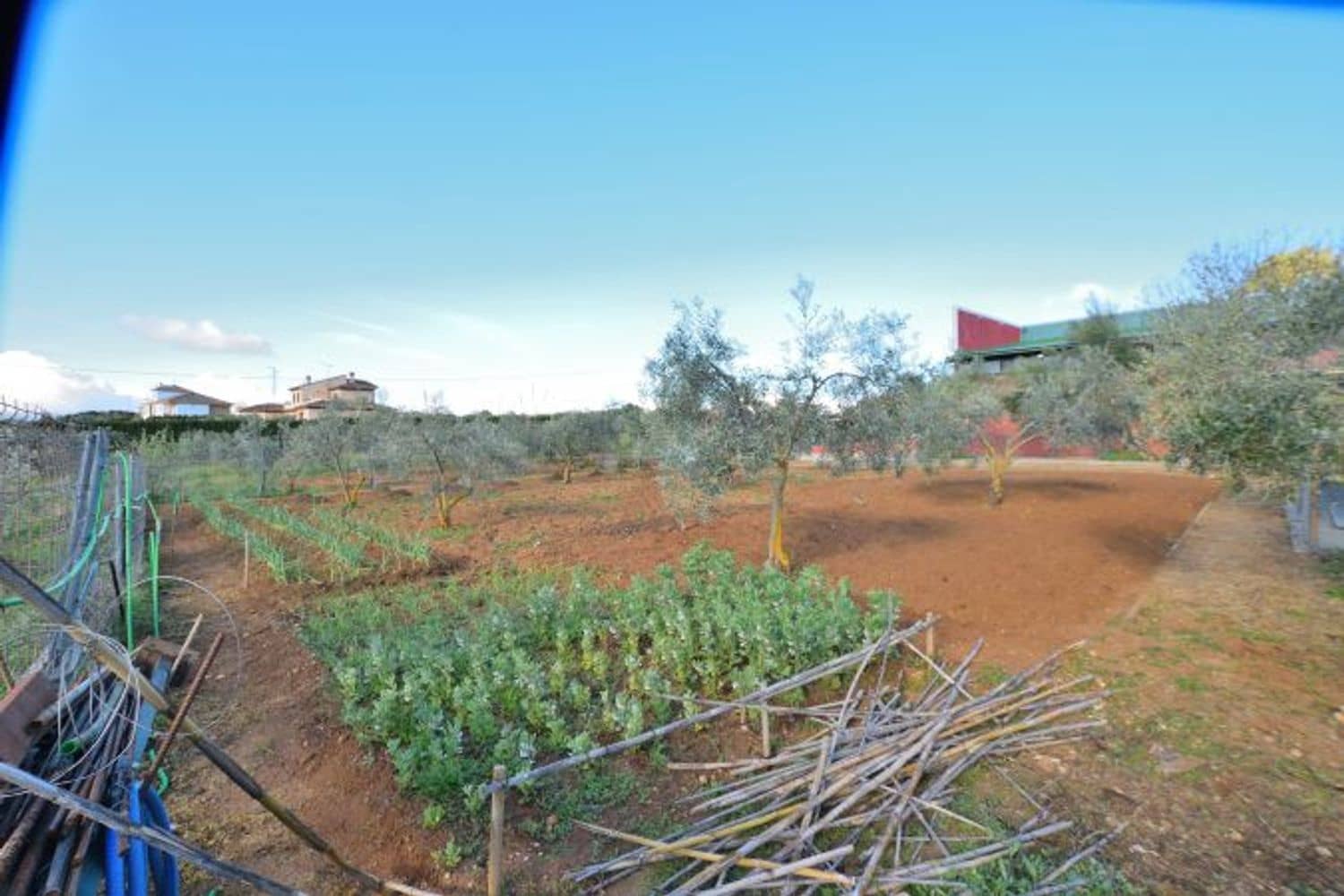 Commercial for sale in Ronda - € 315,000 (Ref: 9371393)