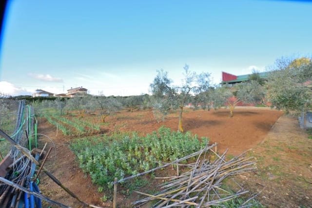 Erhverv til salg i Ronda - € 315.000 (Ref: 9371393)