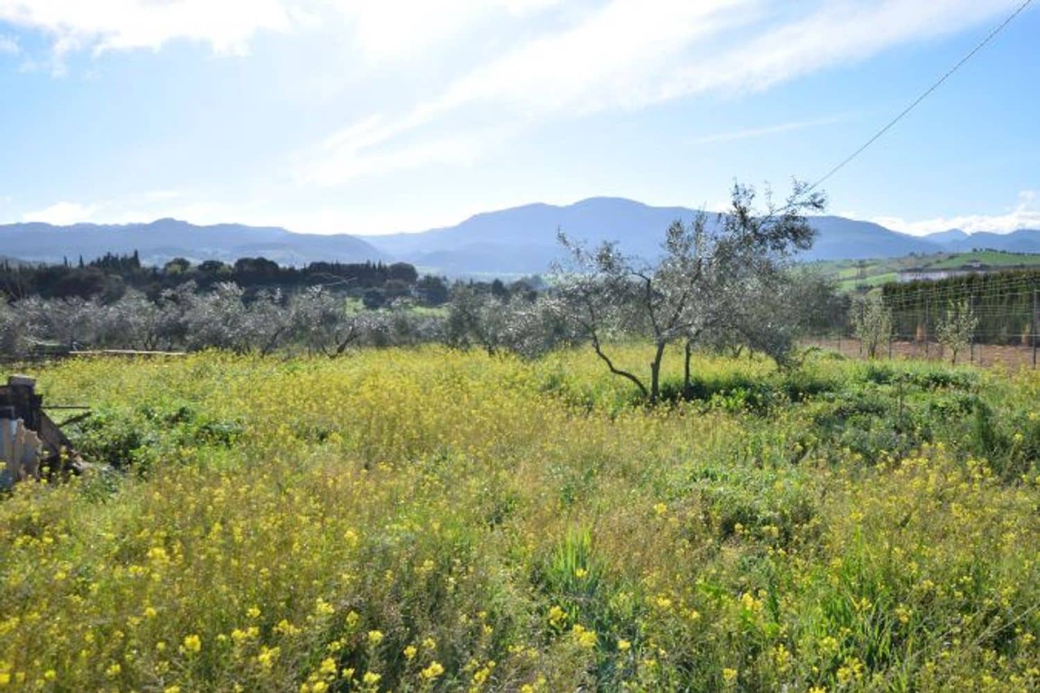 Commercial for sale in Ronda - € 315,000 (Ref: 9371393)