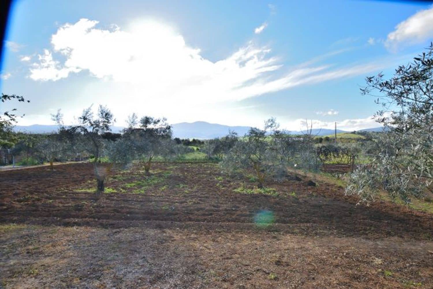 Commercial for sale in Ronda - € 315,000 (Ref: 9371393)