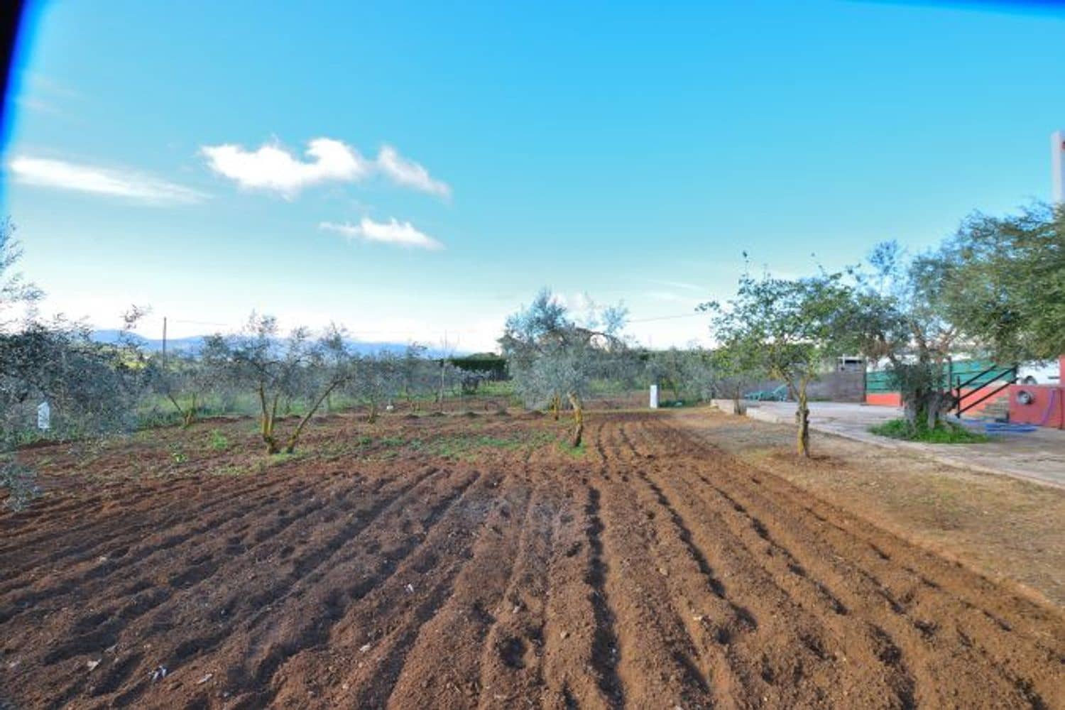 Commercial for sale in Ronda - € 315,000 (Ref: 9371393)