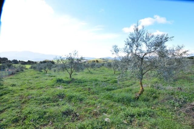 Erhverv til salg i Ronda - € 315.000 (Ref: 9371393)