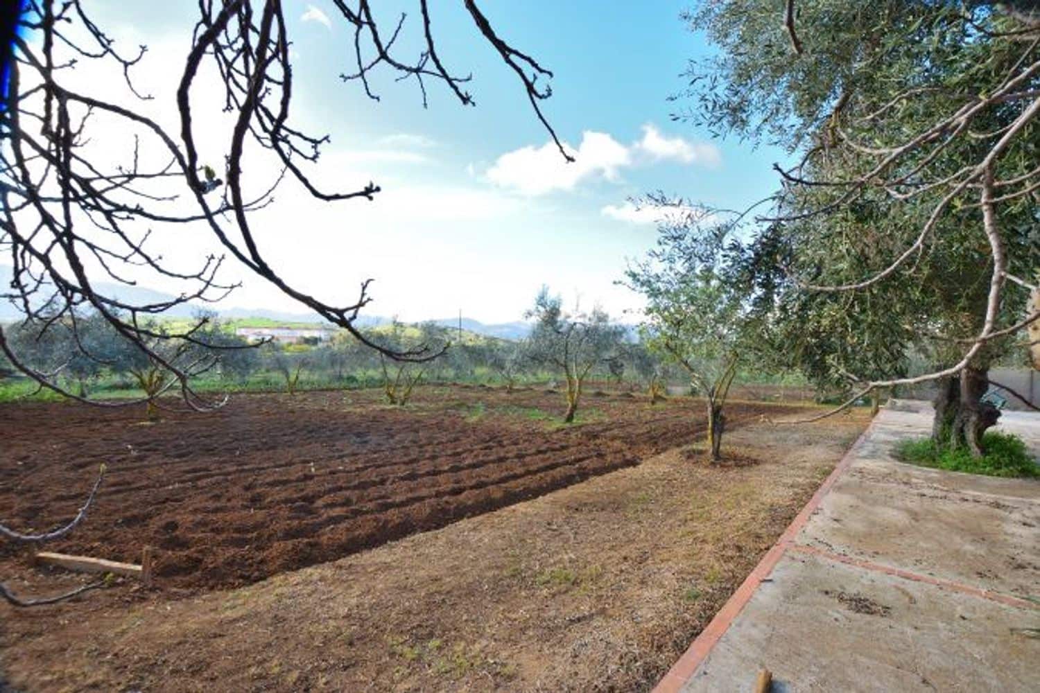 Commercial for sale in Ronda - € 315,000 (Ref: 9371393)