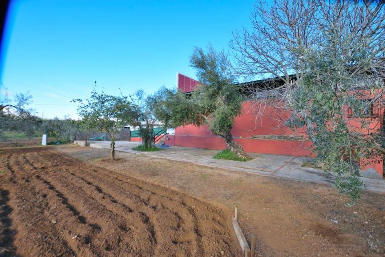 Commercial for sale in Ronda - € 315,000 (Ref: 9371393)