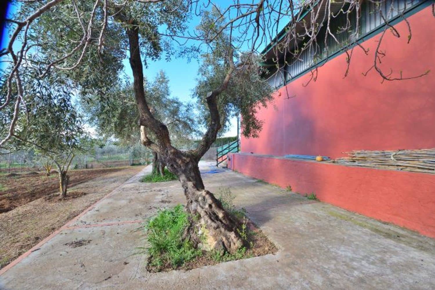 Commercial for sale in Ronda - € 315,000 (Ref: 9371393)