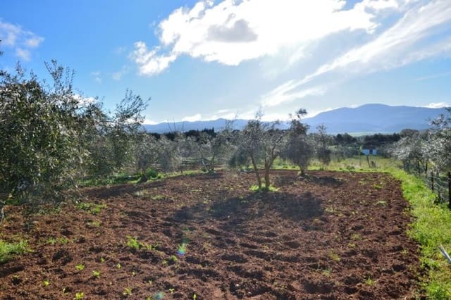 Erhverv til salg i Ronda - € 315.000 (Ref: 9371393)