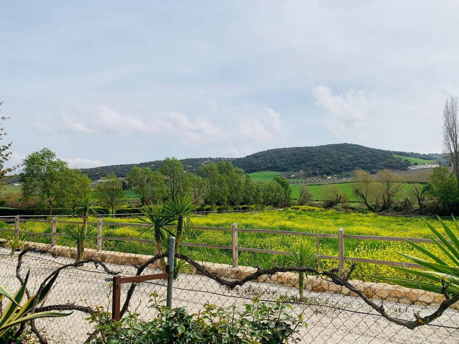 4 makuuhuone Maalaistalo vuokrattavana paikassa Setenil de las Bodegas mukana uima-altaan 
autotalli - 2 000 € (Ref: 9508514)