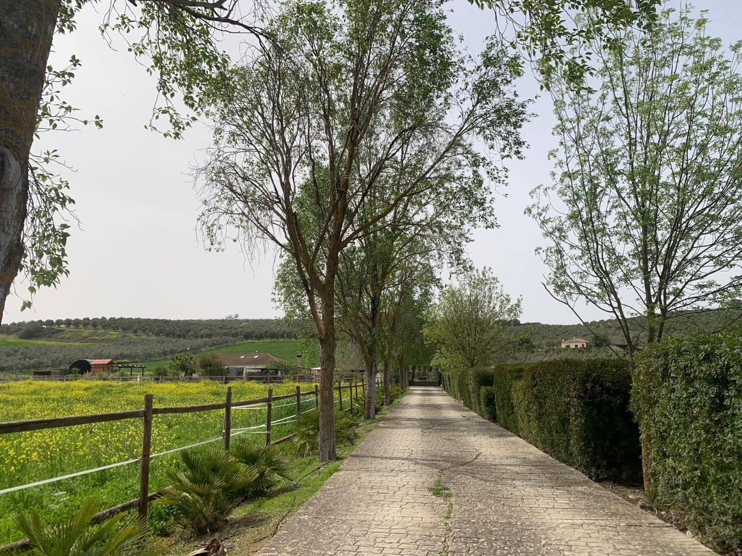 4 makuuhuone Maalaistalo vuokrattavana paikassa Setenil de las Bodegas mukana uima-altaan 
autotalli - 2 000 € (Ref: 9508514)