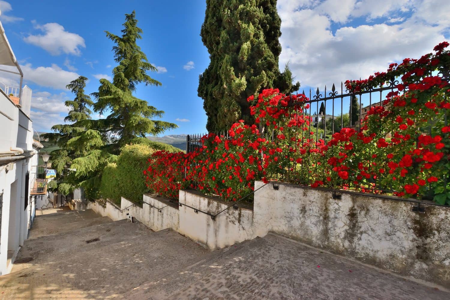 3 sypialnia Dom na sprzedaż w Ronda z garażem - 110 000 € (Ref: 9636208)