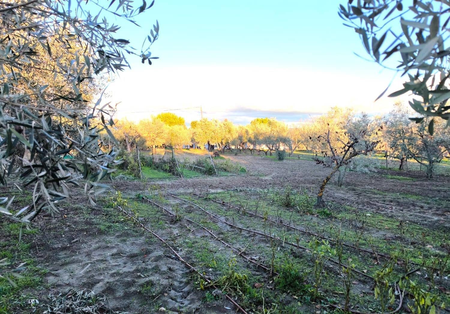 4 soveværelse Finca/Landehus til salg i Ronda med swimmingpool garage - € 228.000 (Ref: 9665651)