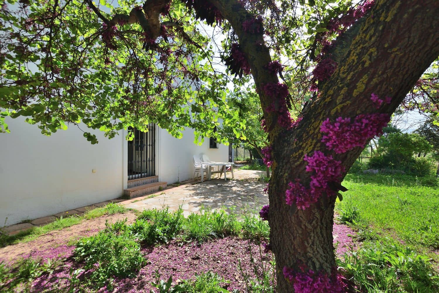 4 chambre Villa/Maison à vendre à Ronda avec piscine garage - 475 000 € (Ref: 9806044)